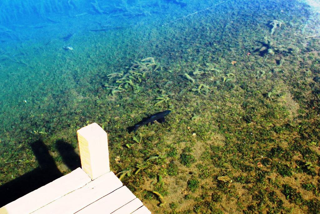Lodge De Montana Lago Monreal El Blanco Eksteriør bilde